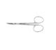 Roboz RS-5913 Micro Dissecting Scissors, Legth 4.5inch