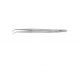 Roboz RS-5359 Micro Dissecting Forceps, Legth 6inch