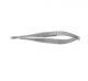 Roboz RS-5680 Micro Dissecting Spring Scissors, Legth 6inch