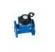 Sant WM 3 Cast Iron Woltman Water Meter for Hot Water, Size 50mm