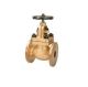 Sant IBR 2C Bronze Globe Steam Stop Valve, Size 50mm