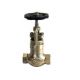 Sant IBR 9A Bronze Controllable Feed Check Valve, Size 10mm