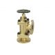 Sant IBR 18 Bronze Accessible Feed Check Valve, Size 20mm