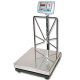 Kranti Weighing Scale, Capacity 300kg (477021010200)