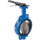 Generic Butterfly Valve, Nominal Size 350 nb, Body Material Cast Iron, End Connection Flanged (320903470100)