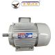 Eagle E Class Electric Motor, Power 1/2hp, Speed 2880rpm, Phase 3, Voltage 440V