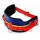 Udyogi WP 01 Work Positioning Waist Belt with Tool Holder, Material Fray-Proof, Dope-Dyed Polyester Webbing, Weight 0.64kg