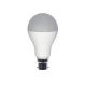 Renesola RA60005S0202 LED Bulb, Power 5W, Color Temperature 3000K, Lumens 450