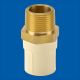 Astral Pipes M012111403 Male Adapter Brass Threads, Size 25mm