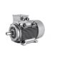 ABB Standard Totally Enclosed Fan Cooled (TEFC) Squirrel Cage Motor, Output 18.5kW, Speed 1500rpm, 4 Pole