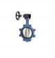 VEESON Cast Iron Butterfly Valve, Size 80mm