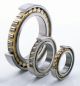 KOYO NF224 Cylindrical Roller Bearing, Inner Dia 120mm, Outer Dia 215mm, Width 40mm