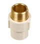 Astral CPVC Pro ASTM D2846 Brass Thread MTA Male Adaptor, Diameter 25mm