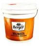 Berger 023 Walmasta Anti-Fungal Emulsion, Capacity 10l, Color Oxford Blue