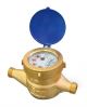 Prince Brass Water Meter, Size 25mm
